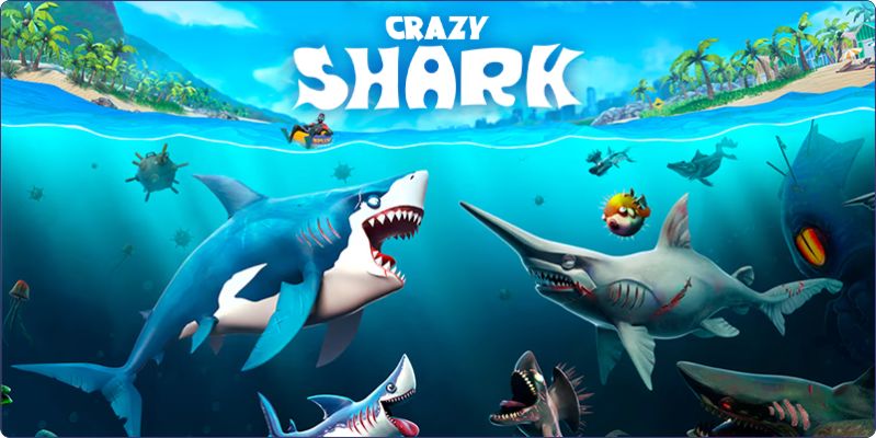 Crazy Shark Game