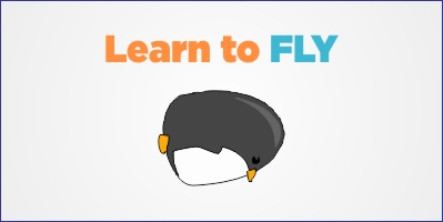 Learn to Fly Game
