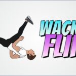 Wacky Flip Icon