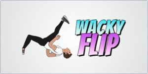 Wacky Flip Cover
